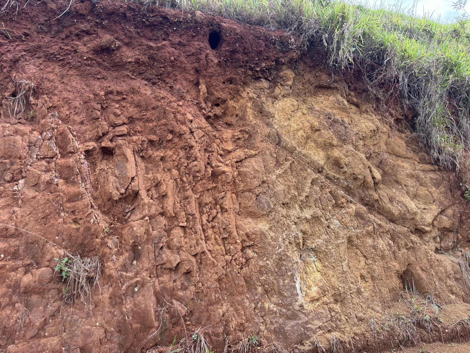 Weathered ultramafic outcrop at the Natércia Project, Minas Gerais